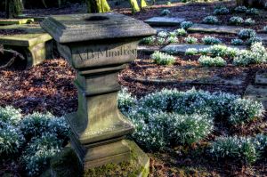 haworth cemetery 1 2016 march 1 sm - Copy.jpg